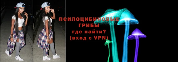 ПСИЛОЦИБИНОВЫЕ ГРИБЫ Арсеньев