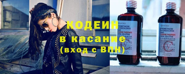 ПСИЛОЦИБИНОВЫЕ ГРИБЫ Арсеньев