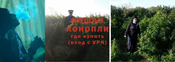 ПСИЛОЦИБИНОВЫЕ ГРИБЫ Арсеньев