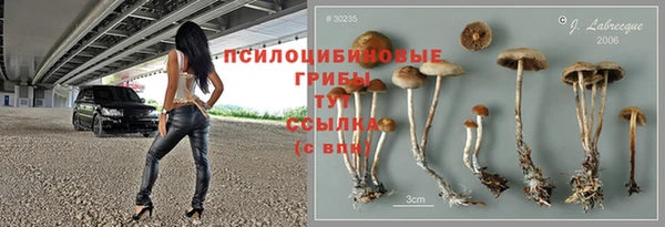 ПСИЛОЦИБИНОВЫЕ ГРИБЫ Арсеньев