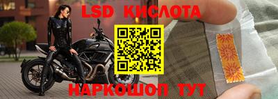 крисы Беслан
