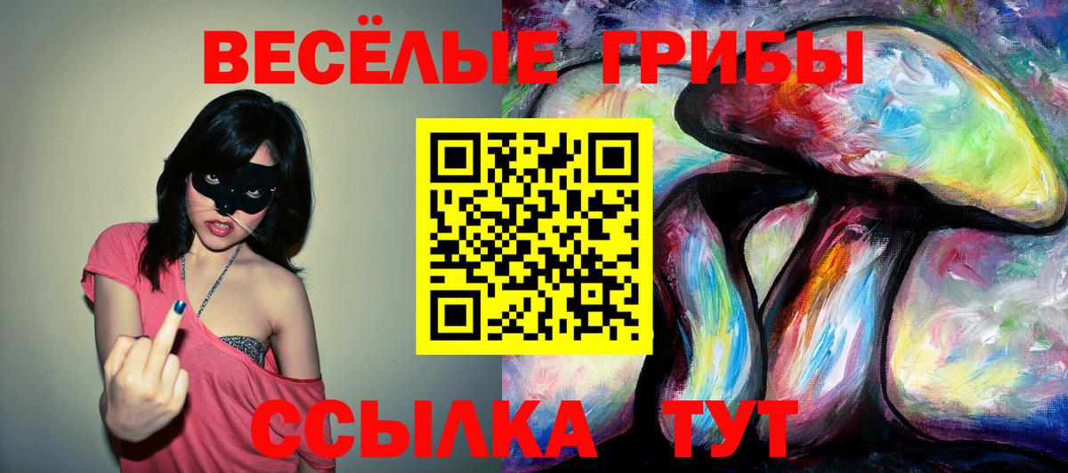 Псилоцибиновые грибы GOLDEN TEACHER Бор