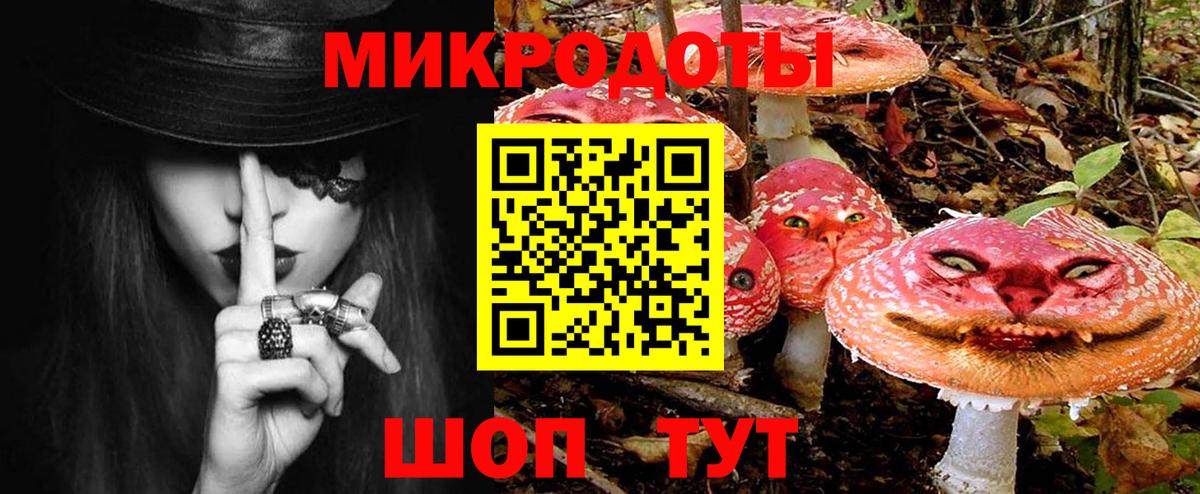 Бор  Псилоцибиновые грибы Psilocybe  Вход с VPN 